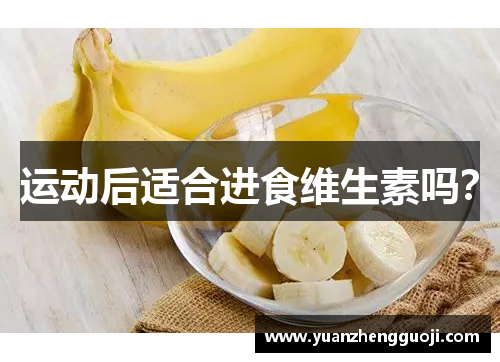 运动后适合进食维生素吗？